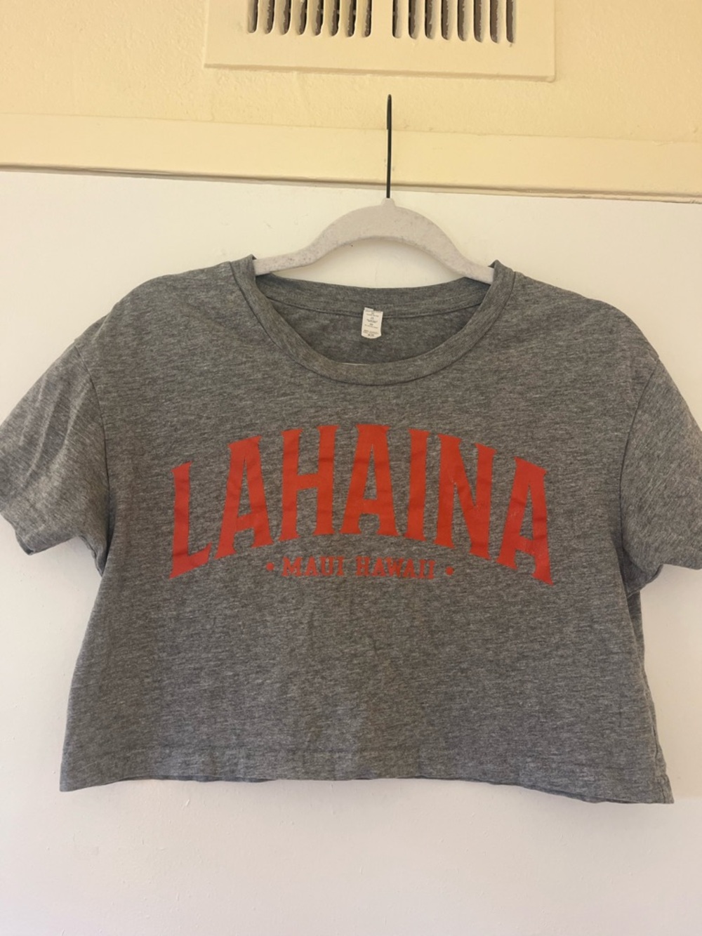 Gray 'Lahaina Maui Hawaii' Crop Tee